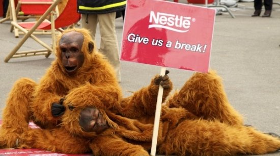 nestle vs greepeance - la tribune