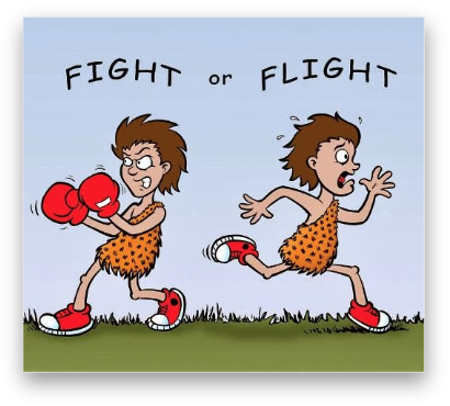 Fight OR Flight